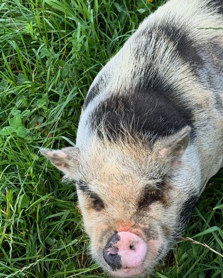 Κόρτνεϊ Καρντάσιαν: Πήγε με τον Τράβις Μπάρκερ για κυνήγι σε αγρόκτημα 