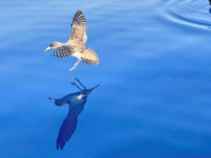 Άλκηστις Πρωτοψάλτη: Το μαύρισμα θα φύγει, οι στιγμές όμως θα μείνουν για πάντα, γράφει σε ανάρτηση από τις διακοπές της 