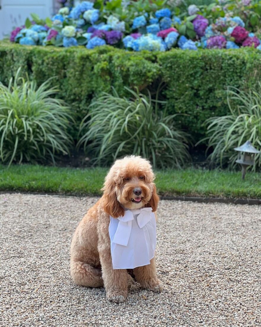 Τζένιφερ Λόπεζ: Ω, ήταν ένα καλοκαίρι, γράφει στη νέα της ανάρτηση μετά τον χωρισμό από τον Άφλεκ