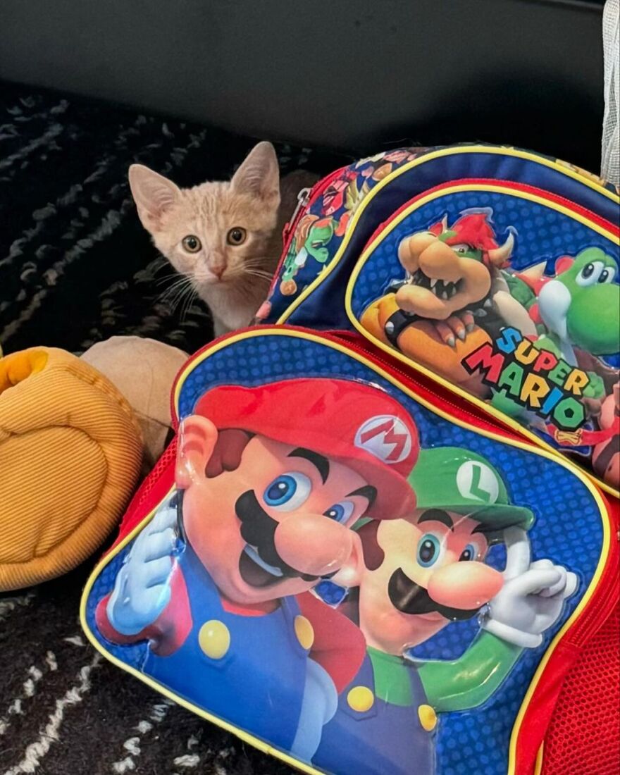 Τζένιφερ Λόπεζ: Ω, ήταν ένα καλοκαίρι, γράφει στη νέα της ανάρτηση μετά τον χωρισμό από τον Άφλεκ