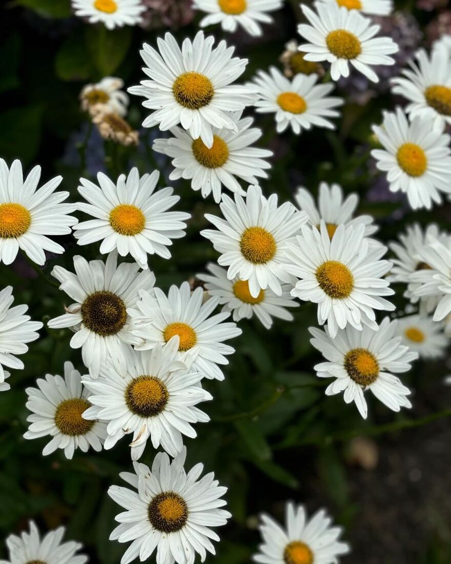 Τζένιφερ Λόπεζ: Ω, ήταν ένα καλοκαίρι, γράφει στη νέα της ανάρτηση μετά τον χωρισμό από τον Άφλεκ