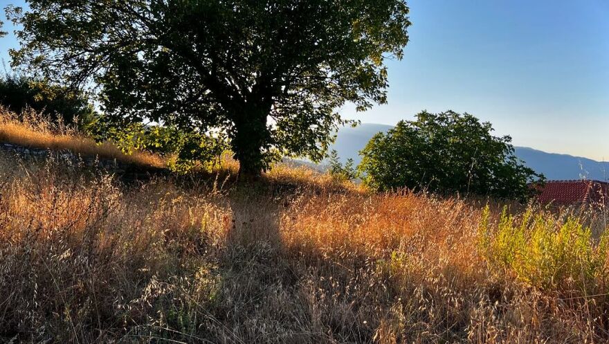 Γιώργος Παπαγεωργίου: Tο φετινό μας καλοκαίρι, έγραψε για τις διακοπές του με τη Δανάη Μιχαλάκη και την κόρη τους