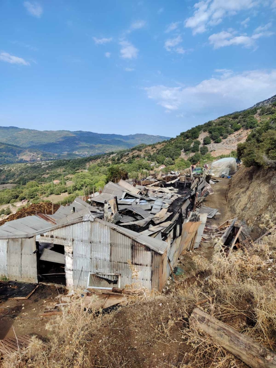 Αιτωλοακαρνανία: Πυρκαγιά από κεραυνό σκότωσε 150 ζώα σε στάβλο, δείτε φωτογραφίες