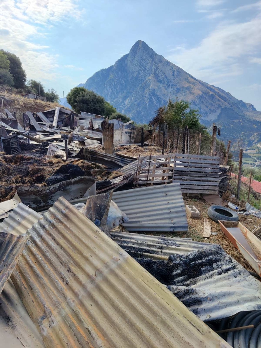 Αιτωλοακαρνανία: Πυρκαγιά από κεραυνό σκότωσε 150 ζώα σε στάβλο, δείτε φωτογραφίες