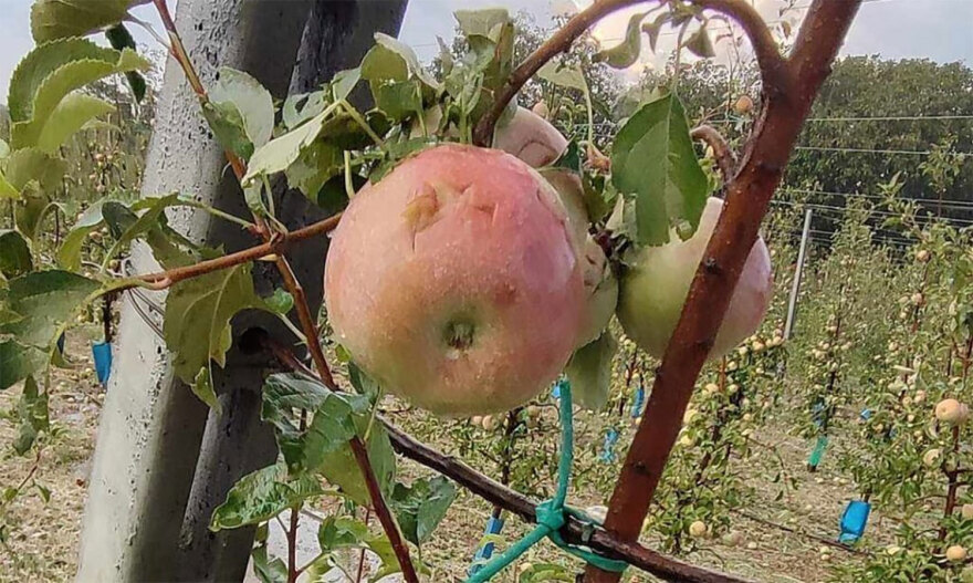 Καιρός: Έρχεται η κακοκαιρία «Atena» - Πότε και πού θα χτυπήσει 