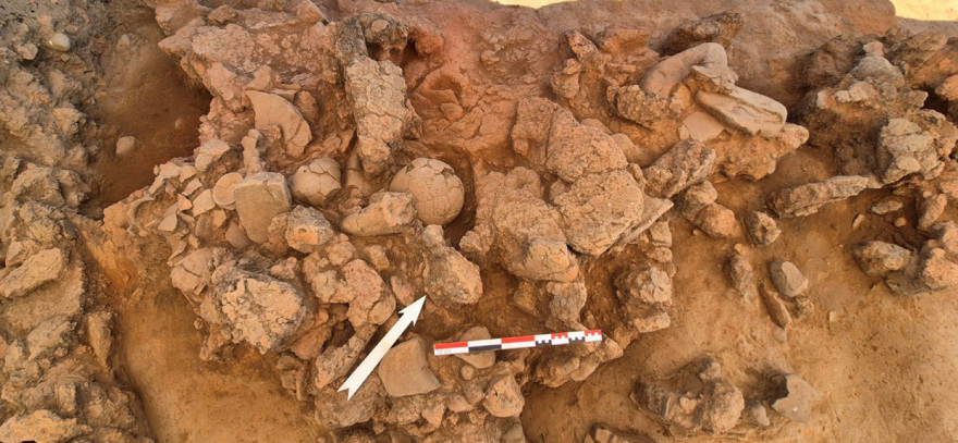 Φωτογραφίες: Σπάνια ευρήματα στη νεολιθική θέση «Βοτανικός Κήπος», στη Λίμνη Πλαστήρα 