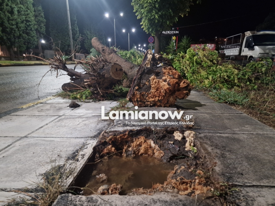 Καιρός: Έρχεται η κακοκαιρία «Atena» - Πότε και πού θα χτυπήσει 