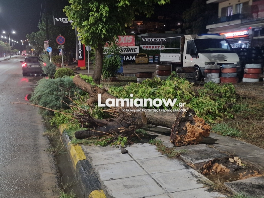 Καιρός: Έρχεται η κακοκαιρία «Atena» - Πότε και πού θα χτυπήσει 
