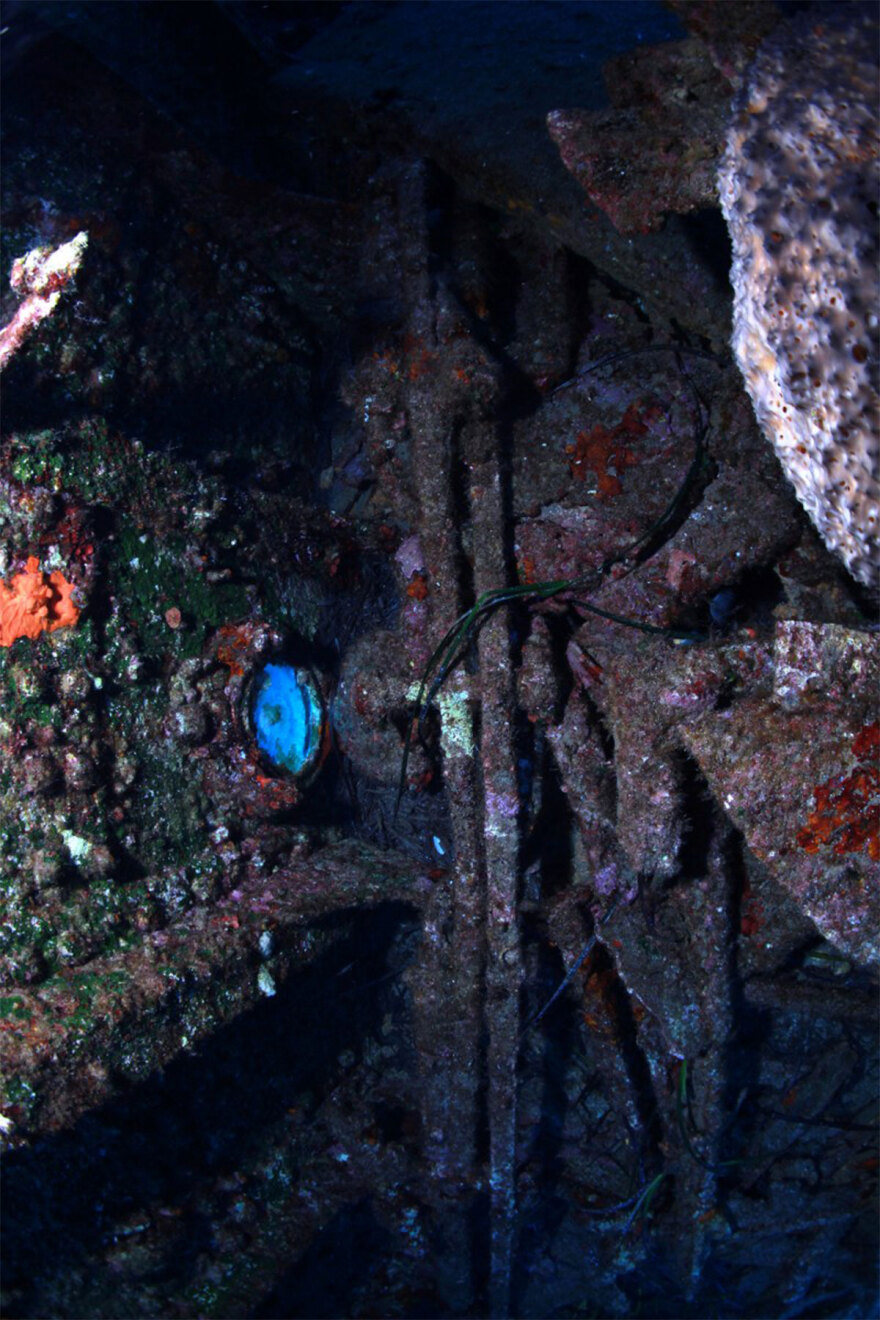 Άγνωστες εικόνες από το ναυάγιο της Φαλκονέρας - Η ιστορία του ατμόπλοιου Αδρίας που βυθίστηκε το 1951