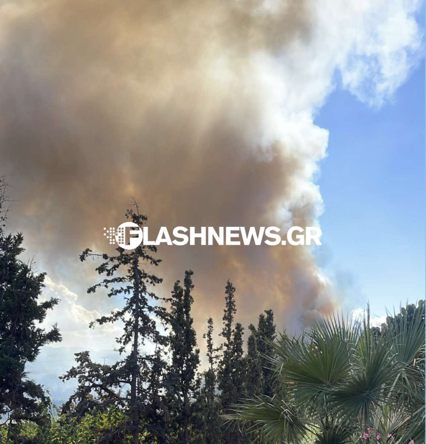 Οριοθετήθηκε η φωτιά που ξέσπασε στον Πλατανιά Χανίων κοντά σε ξενοδοχεία και σπίτια
