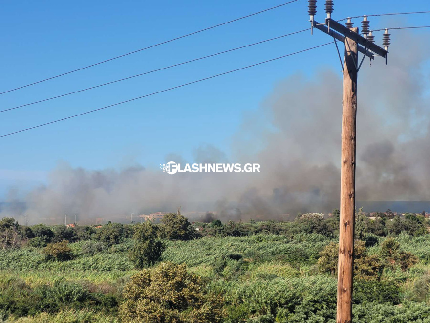Οριοθετήθηκε η φωτιά που ξέσπασε στον Πλατανιά Χανίων κοντά σε ξενοδοχεία και σπίτια