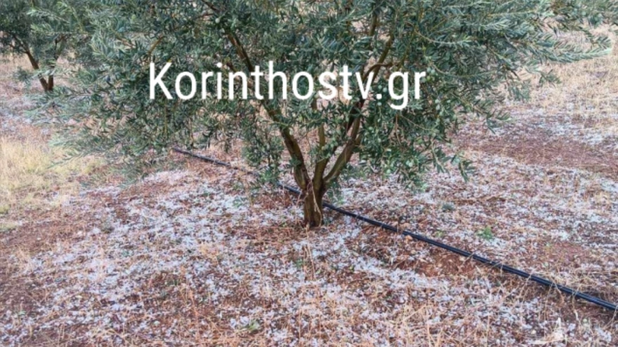 Κόρινθος: Έντονη χαλαζόπτωση στην Κλένια - Φωτογραφίες