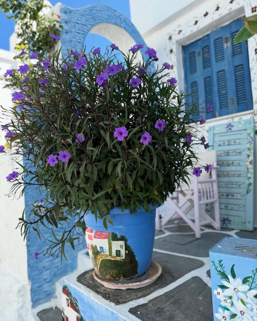 Ιωάννα Μαλέσκου: Κουβαλάω πολύ καλοκαίρι μέσα μου, γράφει από την Κύθνο