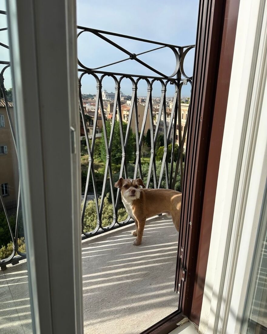 Emily in Paris: Το δεύτερο μέρος της τέταρτης σεζόν κυκλοφόρησε στο Netflix - Η ανάρτηση της Λίλι Κόλινς