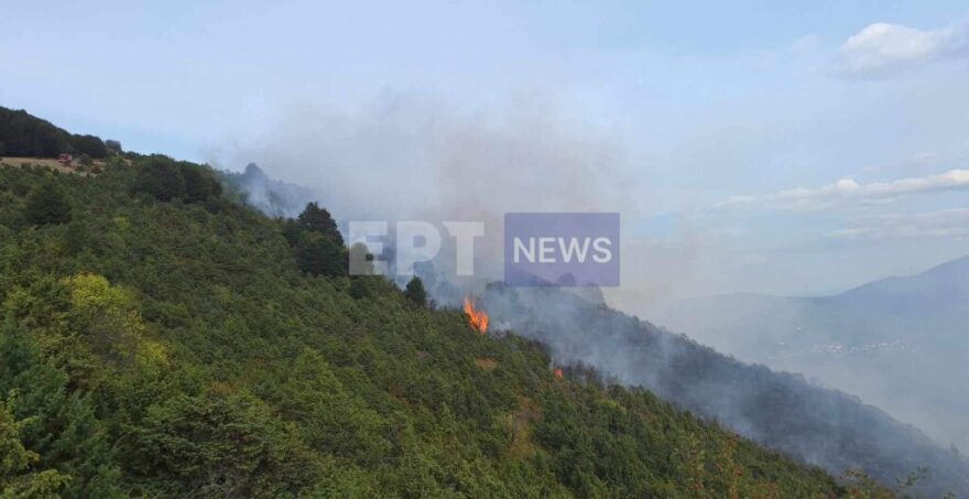 Οριοθετημένη η φωτιά στη Βλάστη Κοζάνης - Ξέσπασε σε δύσβατο σημείο 