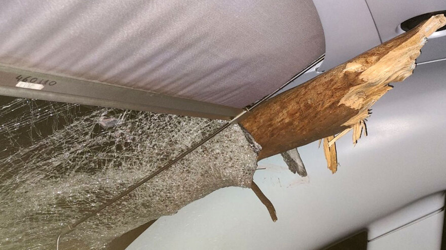 Το δέντρο μπήκε στην καμπίνα του μηχανοδηγού - Δείτε φωτογραφίες από το ατύχημα με τρένο στις Αφίδνες