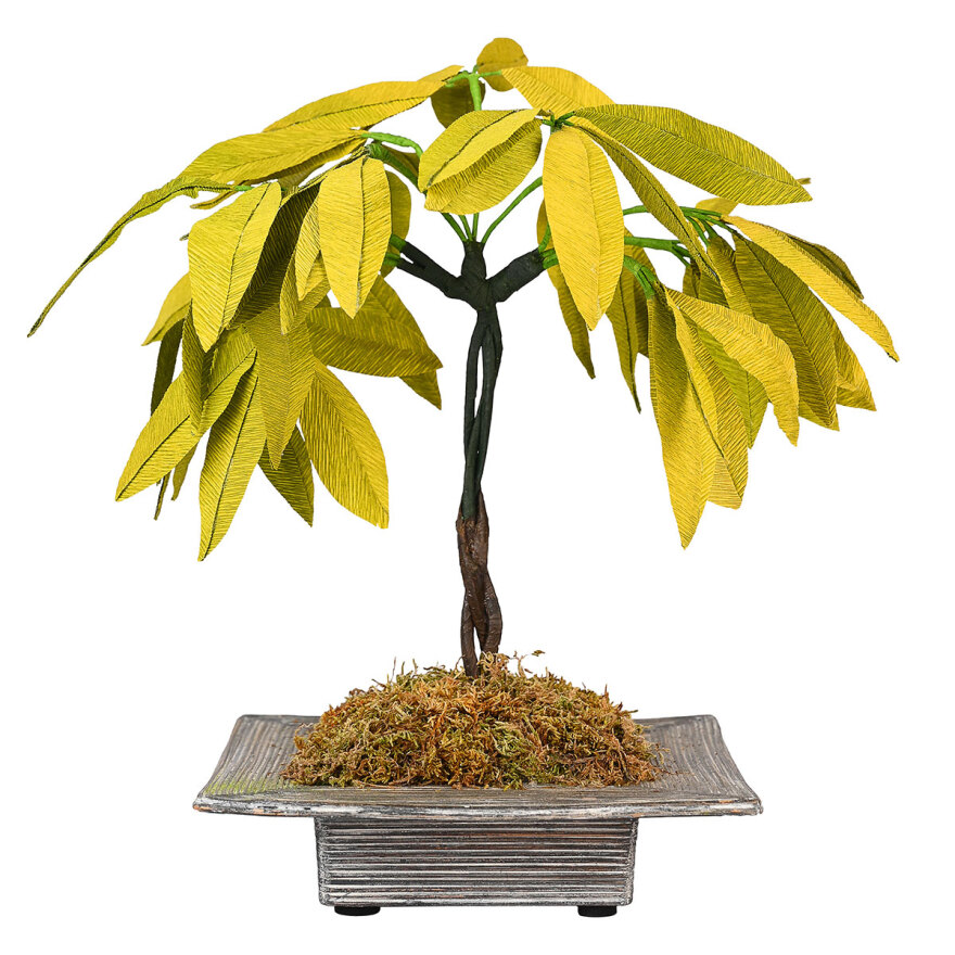 «Paper Flower Stories»: Η άγνωστη τέχνη των λουλουδιών από χαρτί ανθίζει στο μουσείο κοσμημάτων Ηλία Λαλαούνη