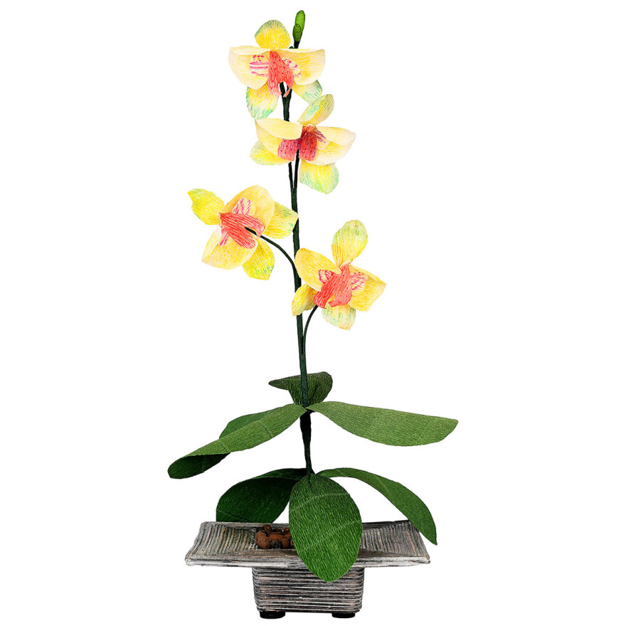 «Paper Flower Stories»: Η άγνωστη τέχνη των λουλουδιών από χαρτί ανθίζει στο μουσείο κοσμημάτων Ηλία Λαλαούνη