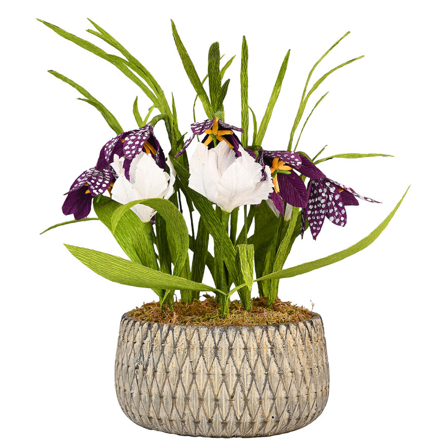 «Paper Flower Stories»: Η άγνωστη τέχνη των λουλουδιών από χαρτί ανθίζει στο μουσείο κοσμημάτων Ηλία Λαλαούνη