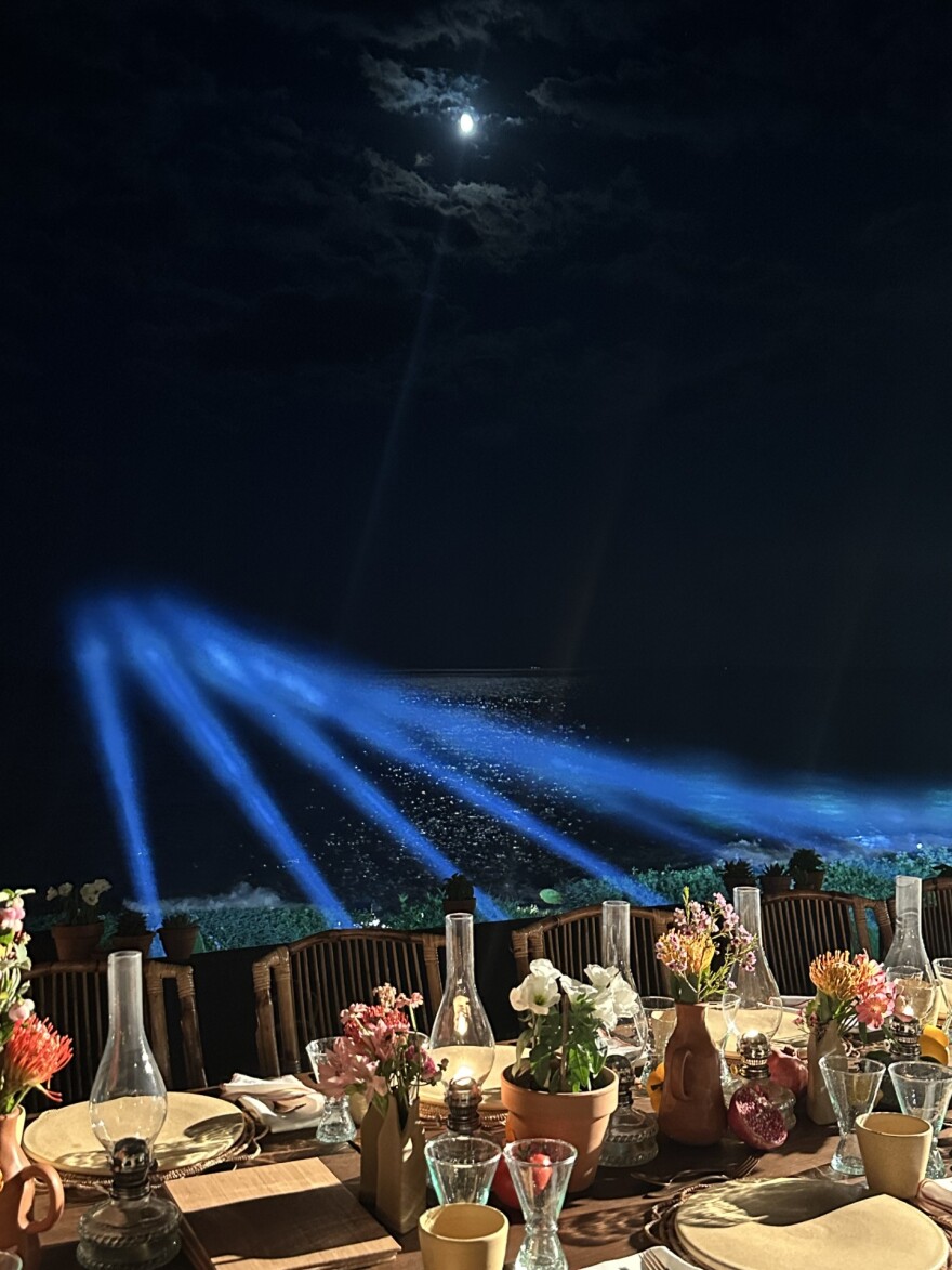 Ναόμι Κάμπελ: Το πάρτι της «μαύρης γαζέλας» στην Αθηναϊκή Ριβιέρα