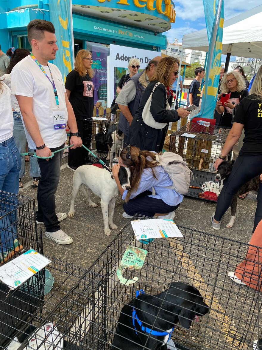Στη Γλυφάδα η 18η Ημέρα Υιοθεσίας των Pet City με την στήριξη του topetmou.gr