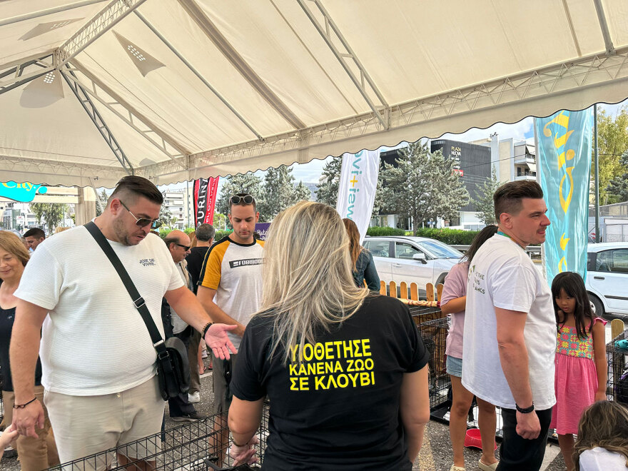 Στη Γλυφάδα η 18η Ημέρα Υιοθεσίας των Pet City με την στήριξη του topetmou.gr