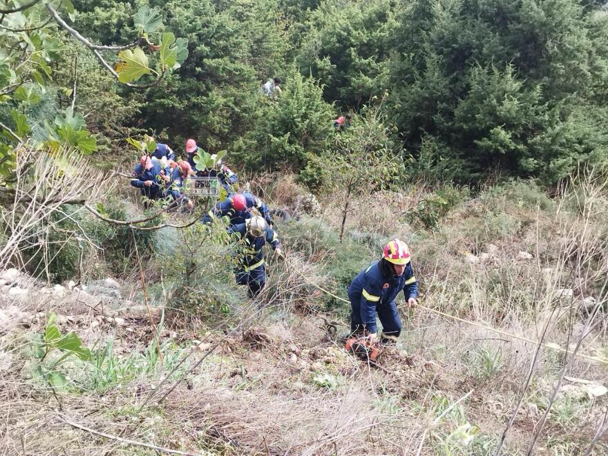 Ιωάννινα: Μητέρα και γιος απεγκλωβίστηκαν από ΙΧ που έπεσε σε γκρεμό - Δέντρα συγκράτησαν το όχημα