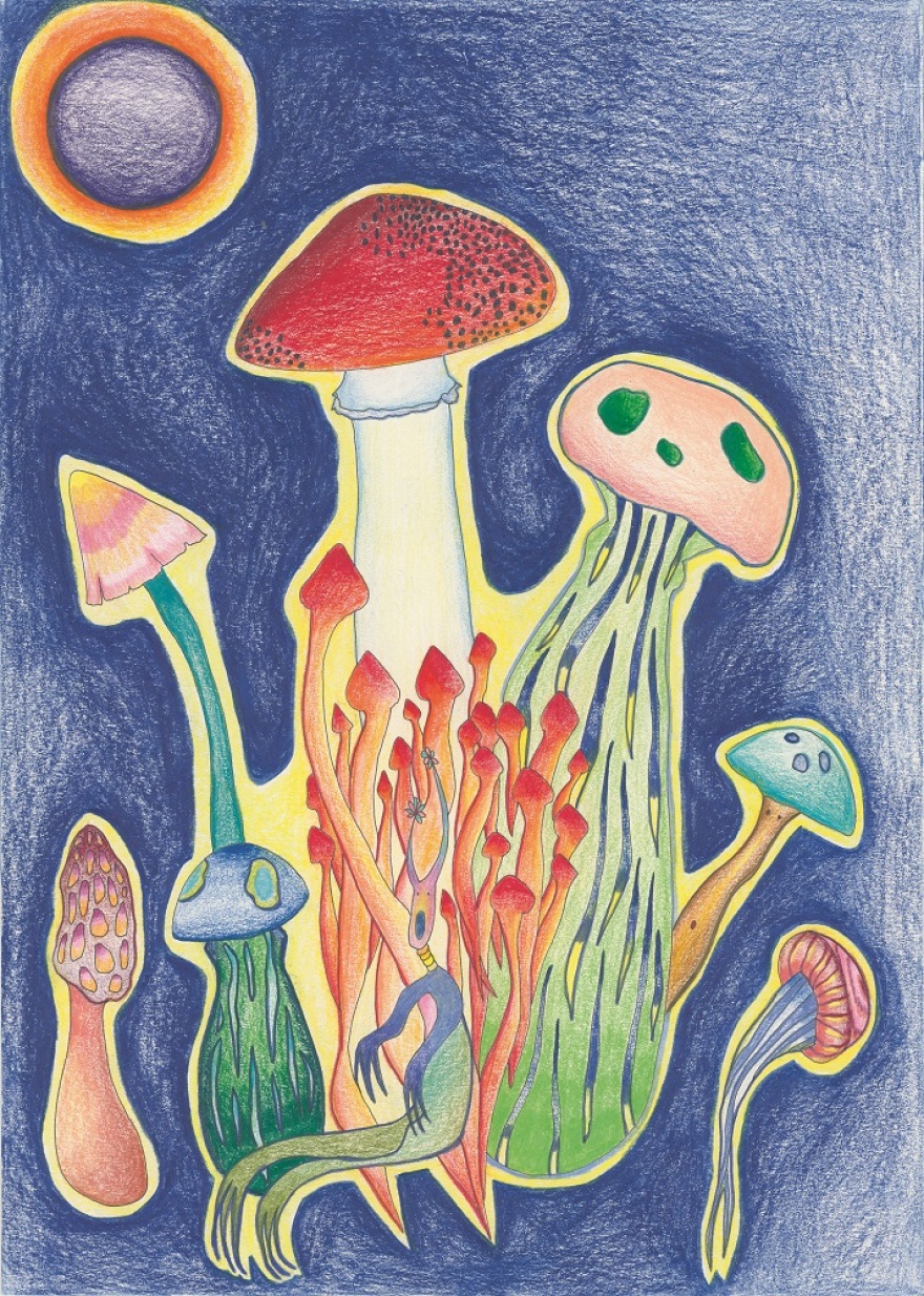 Ένας εικαστικός κήπος γεμάτος μυστικά, μαγικά σύμβολα και υβρίδια στο Μουσείο Γουλανδρή 