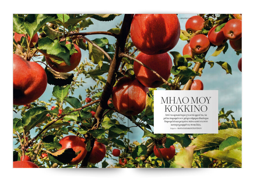 Νέο Cantina: Οι μακαρονάδες του χωριού την Κυριακή με το Θέμα