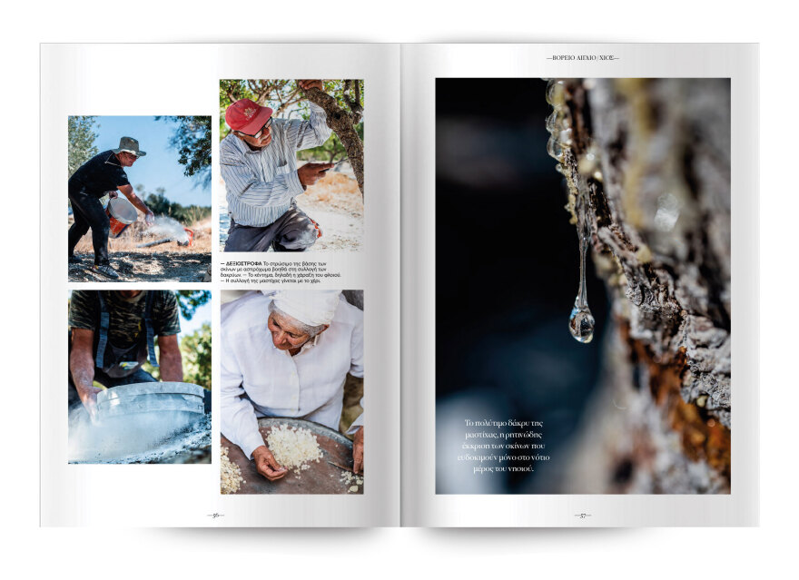 Νέο Cantina: Οι μακαρονάδες του χωριού την Κυριακή με το Θέμα