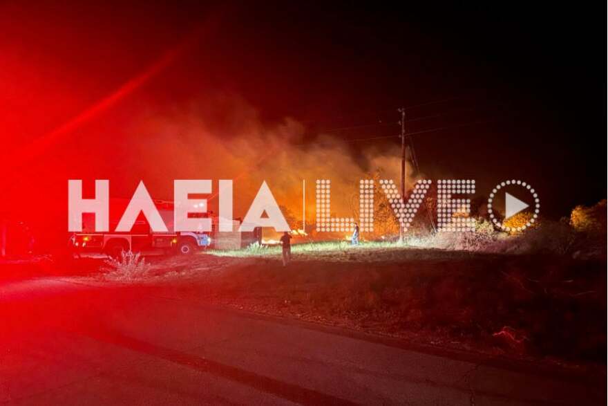 Φωτιά στην Ηλεία: Υπό έλεγχο πυρκαγιά σε χαμηλή βλάστηση - Βίντεο
