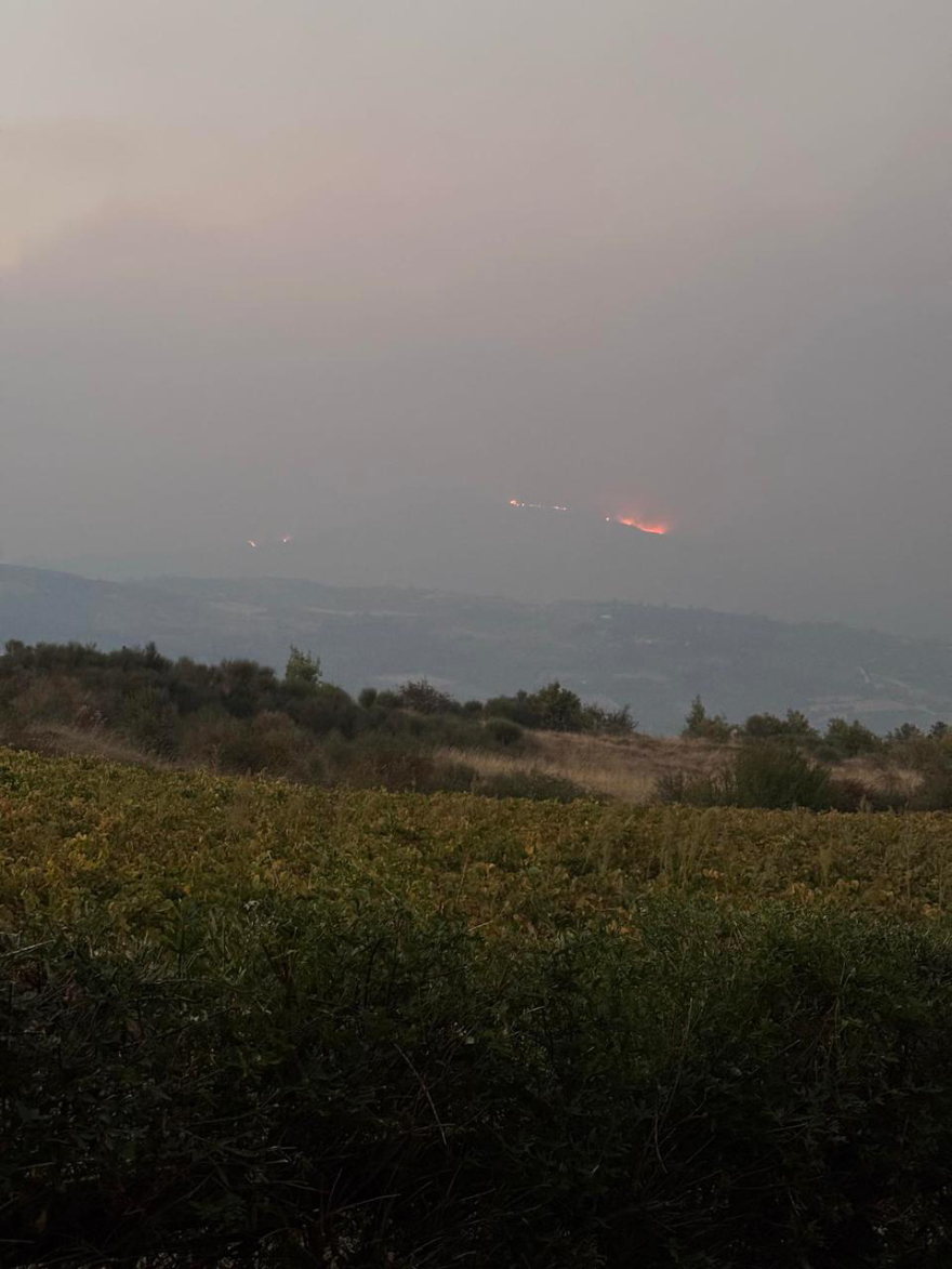 Φωτιά στην Κορινθία: Κάηκαν σπίτια, έκλεισε η Κορίνθου-Πατρών στο ύψος του Δερβενίου, συγκλονιστικά βίντεο