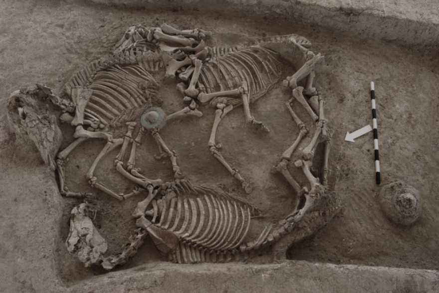 Τύμβος της Μικρής Δοξιπάρας-Ζώνης Έβρου: Μετατρέπεται σε επισκέψιμο αρχαιολογικό χώρο - Φωτογραφίες