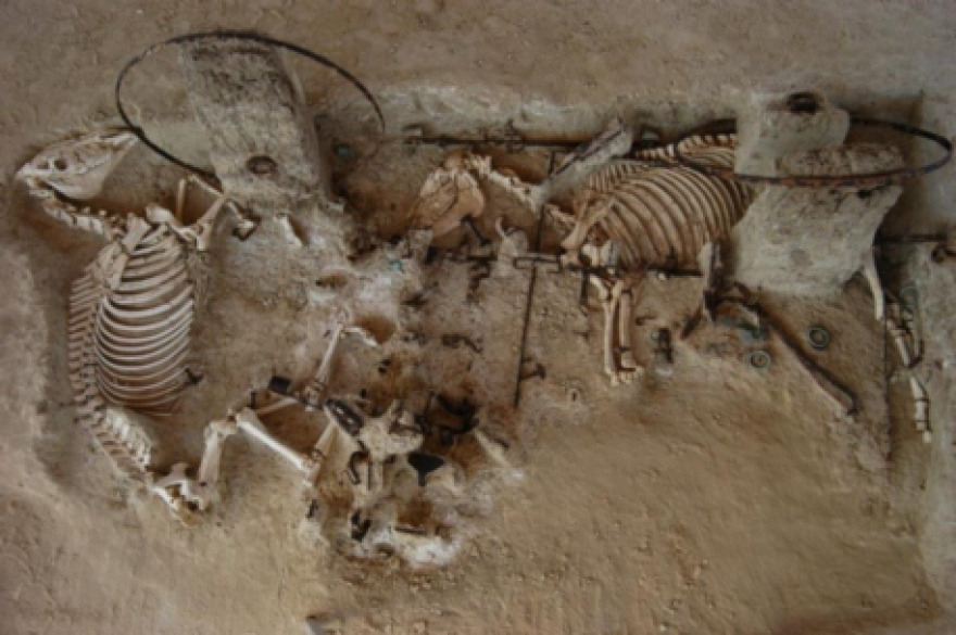 Τύμβος της Μικρής Δοξιπάρας-Ζώνης Έβρου: Μετατρέπεται σε επισκέψιμο αρχαιολογικό χώρο - Φωτογραφίες