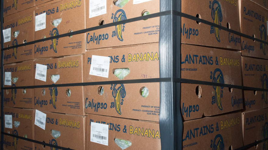 Σκωτία: Συνελήφθη ο «Τόνι Σοπράνο» της χώρας για ναρκωτικά - Είχε φυλακιστεί ξανά για ξέπλυμα χρήματος - Φωτογραφίες