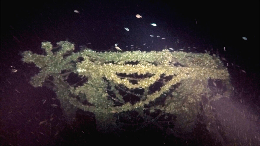 Βρέθηκε βρετανικό υποβρύχιο του Β΄ Παγκοσμίου Πολέμου σε μεγάλο βάθος στο Ικάριο Πέλαγος - Δείτε φωτογραφίες