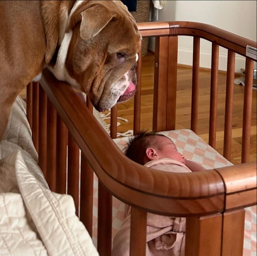 O Κλιντ Ίστγουντ έγινε παππούς για έκτη φορά