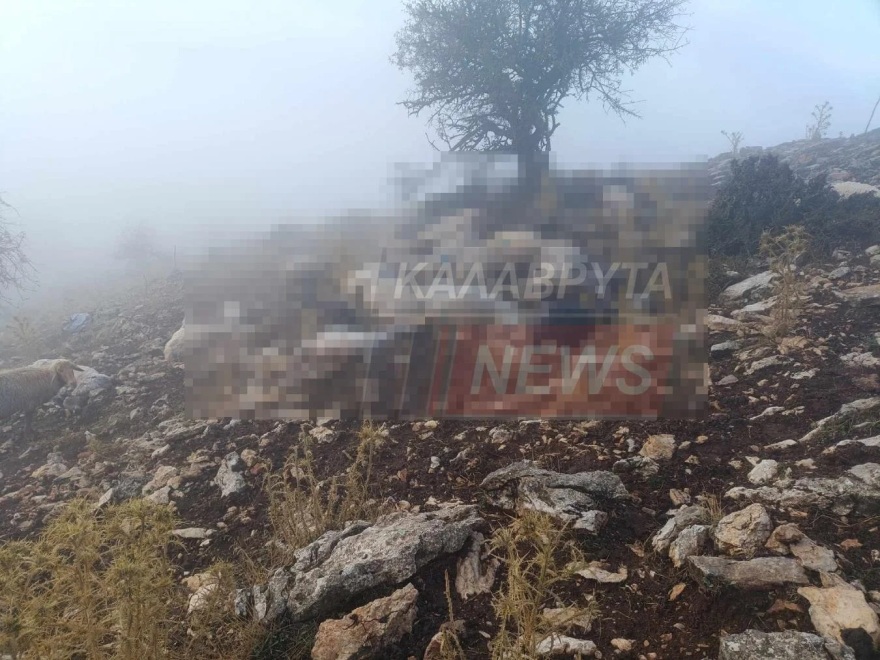 Καλάβρυτα: 48 πρόβατα σκοτώθηκαν από κεραυνό 