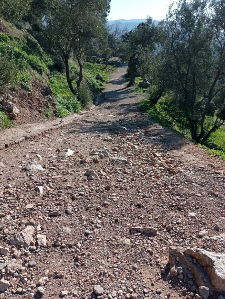 Αποκατάσταση των εισόδων στο Γυμνάσιο και στο ναό της Αθηνάς Προναίας, στους Δελφούς