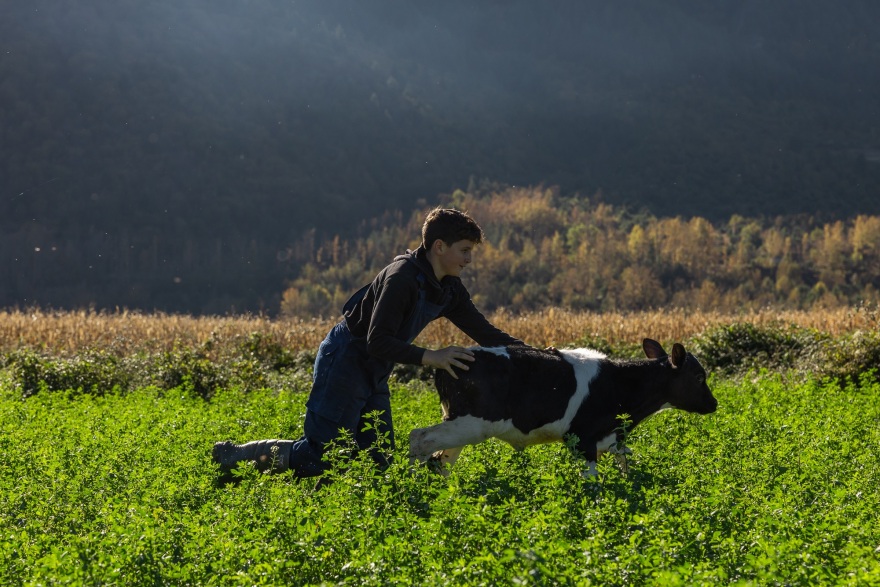 Η γαλακτοβιομηχανία που βάζει τη βιωσιμότητα στο επίκεντρο
