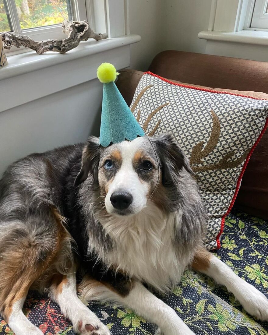 Έλενα Κρίστενσεν: Ο γιος της έκλεισε τα 25 - Το βίντεο που ανέβασε από τα γενέθλιά του