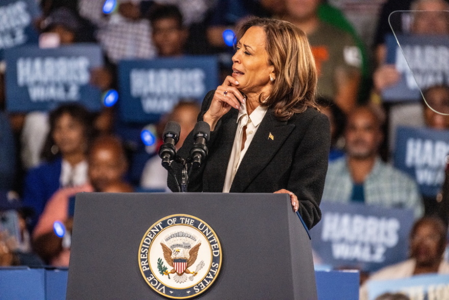 Εκλογές ΗΠΑ 2024: Η σημασία τους για τους Αμερικανούς, την ΕΕ και ολόκληρο τον πλανήτη - Πώς επηρεάζεται η Ελλάδα