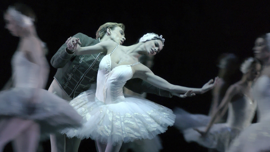 BLACK SWAN Μαύρος Κύκνος