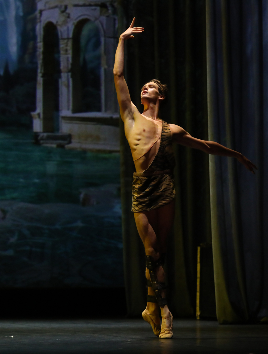 BLACK SWAN Μαύρος Κύκνος