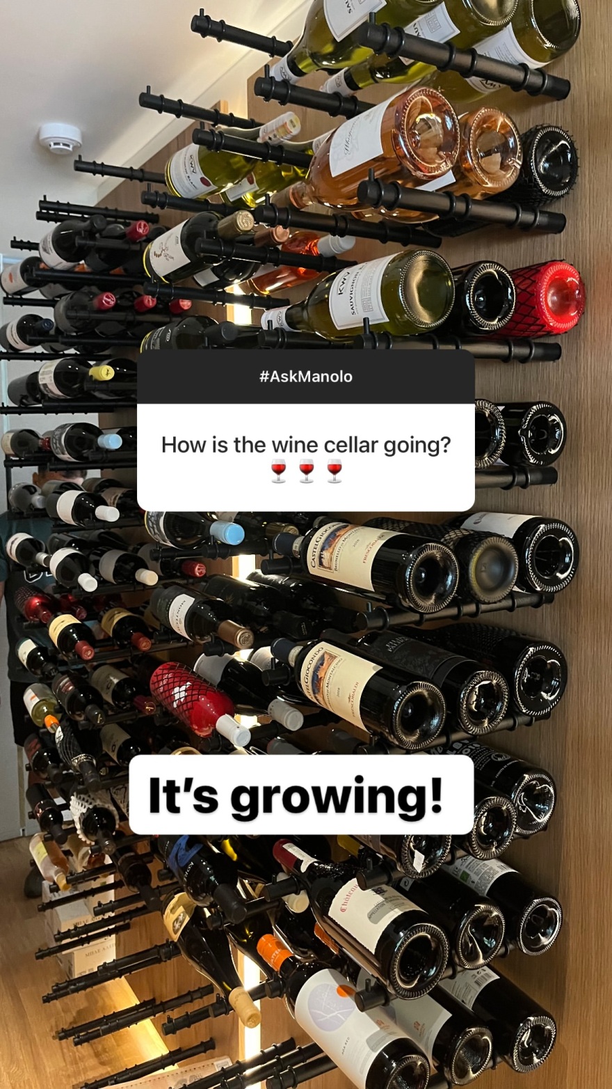 Εμμανουήλ Καραλής: Αποκάλυψε τον νέο του «έρωτα» και τρόλαρε για τον Πύργο Ηλείας