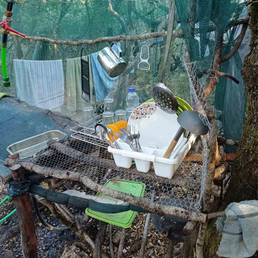 1.253 δενδρύλλια και ένας τόνος κάνναβης εντοπίστηκαν στην Τρίπολη - Συνελήφθη 37χρονος