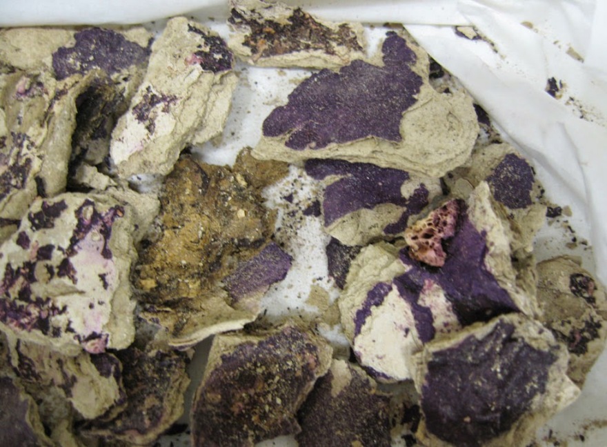 Μέγας Αλέξανδρος: Η νέα θεωρία για την ανακάλυψη του χιτώνα του και οι διαφορετικές «αναγνώσεις» του πολύτιμου υφάσματος