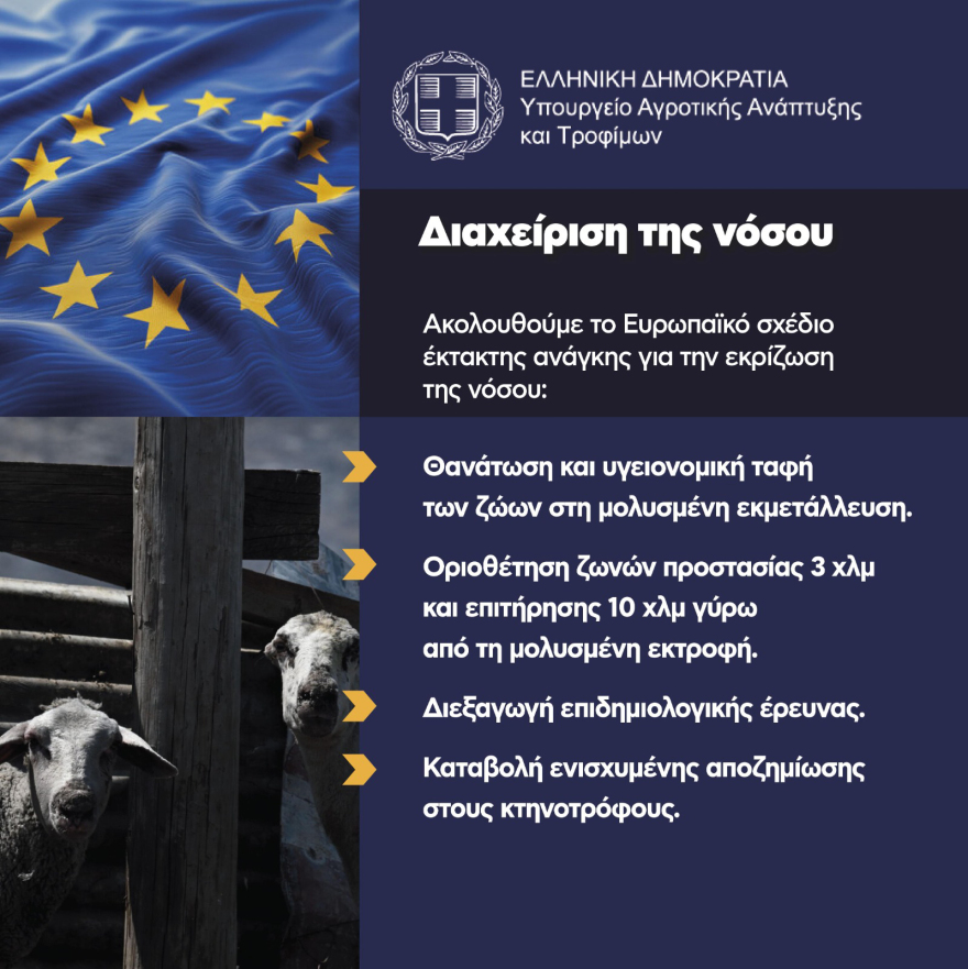 Ευλογιά των αιγοπροβάτων: Πώς εξελίσσεται η εφαρμογή των μέτρων για την αντιμετώπιση της νόσου