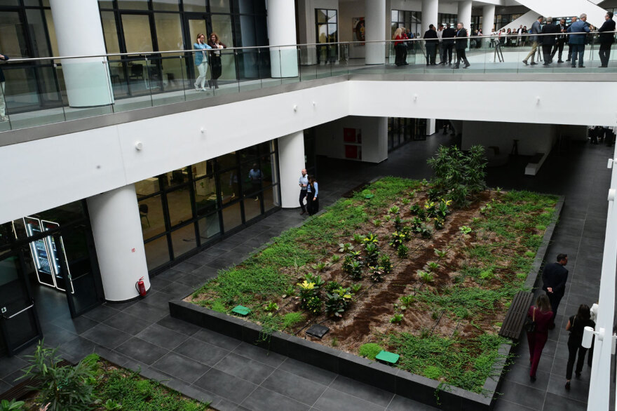 Μέσα στα νέα υπερσύγχρονα γραφεία της ΑΑΔΕ στον Ταύρο - Μπάρες εισόδου, «πράσινο» και παιδικός σταθμός