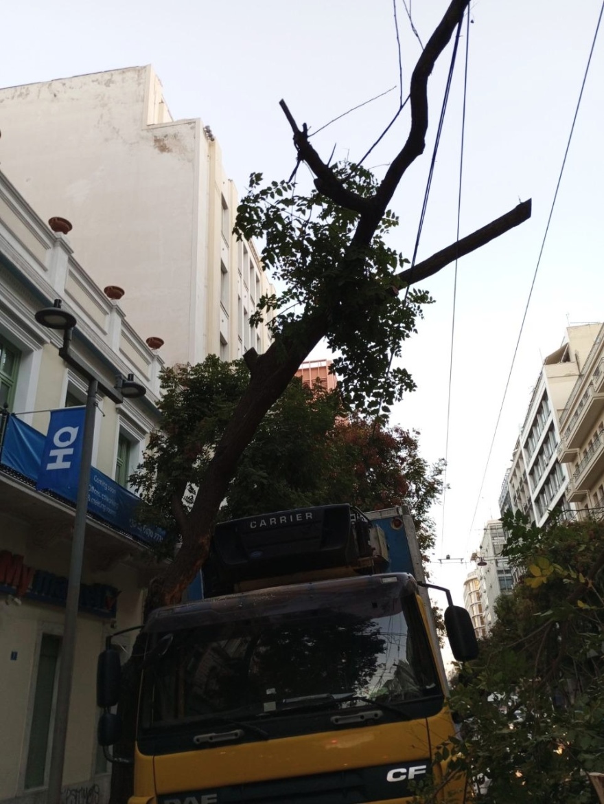 Χάρης Δούκας για τροχαίο στην Πατησιών: «Δέντρο έτρεχε με ταχύτητα και έπεσε σε νταλίκα. Τι άλλο θα ακούσουμε, ψυχραιμία παιδιά»